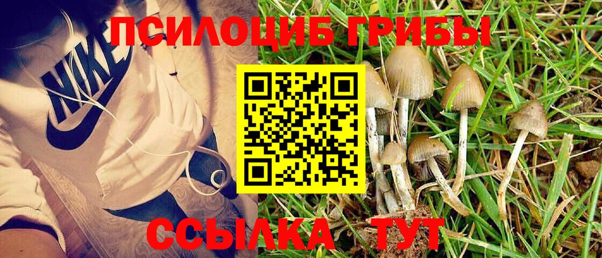 Псилоцибиновые грибы GOLDEN TEACHER  Вход с VPN  Партизанск 